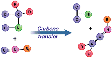Graphical abstract: Carbene transfer reactivity from a nickelacyclobutane