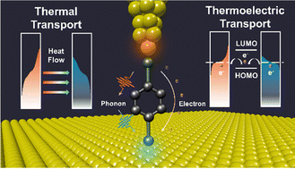 Graphical abstract: Thermoelectric and thermal properties of molecular junctions: mechanisms, characterization methods and applications