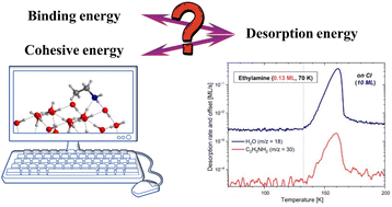 Graphical abstract: Binding energies of ethanol and ethylamine on interstellar water ices: synergy between theory and experiments