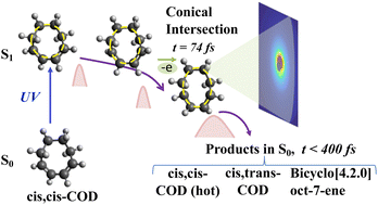 Graphical abstract: Ultrafast structural dynamics of UV photoexcited cis,cis-1,3-cyclooctadiene observed with time-resolved electron diffraction