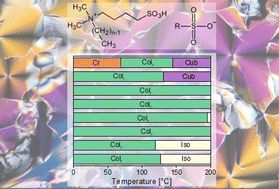 Graphical abstract: Sulfobetaine ionic liquid crystals based on strong acids: phase behavior and electrochemistry