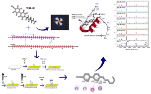 Graphical abstract: Developing a biosensing prototype utilising a 7CB liquid crystal for human insulin detection