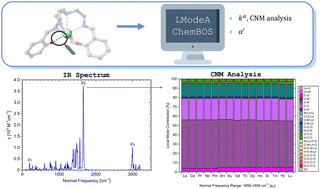 Graphical abstract: Theoretical insights into the vibrational spectra and chemical bonding of Ln(iii) complexes with a tripodal N4O3 ligand along the lanthanide series