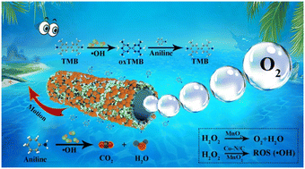 Graphical abstract: Micromotor-assisted bifunctional platform for efficient detection and removal of aniline