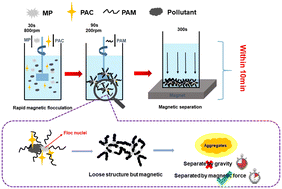 Graphical abstract: Enhanced combined sewer overflow treatment by rapid magnetic flocculation–magnetic sedimentation: efficiency and mechanism