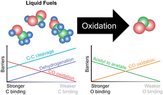 Graphical abstract: Uniting activity design principles of anode catalysts for direct liquid fuel cells