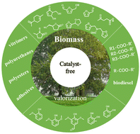 Graphical abstract: Catalyst-free valorization of biomass resources to value-added products