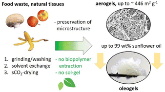 Graphical abstract: Conversion of natural tissues and food waste into aerogels and their application in oleogelation