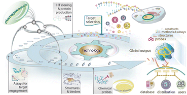 Graphical abstract: Toward target 2035: EUbOPEN - a public–private partnership to enable & unlock biology in the open