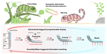 Graphical abstract: Electrothermally powered synergistic fluorescence-colour/3D-shape changeable polymer gel systems for rewritable and programmable information display