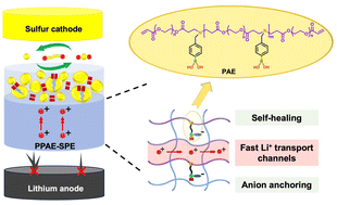 Graphical abstract: Comb-like poly(β-amino ester)-integrated PEO-based self-healing solid electrolytes for fast ion conduction in lithium–sulfur batteries