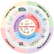 Graphical abstract: Atomic-level design of biomimetic iron–sulfur clusters for biocatalysis