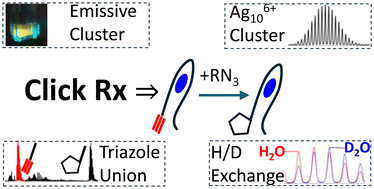 Graphical abstract: Click catalysis and DNA conjugation using a nanoscale DNA/silver cluster pair