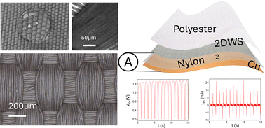 Graphical abstract: Integration of two-dimensional WS2 in flexible textile triboelectric nanogenerators via electronic dyeing for self-powered sensing