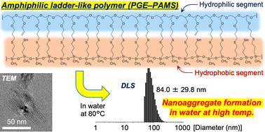 Graphical abstract: Preparation and nanoaggregate formation ability in water of amphiphilic ladder-like polymers with parallelly linked hydrophilic polyether and hydrophobic polysiloxane chains