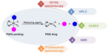 Graphical abstract: Advances in technical strategies for monitoring the reduction of platinum(iv) complexes