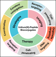 Graphical abstract: Luminescent iridium(iii)–peptide bioconjugates for bioanalytical and biomedical applications