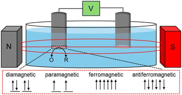 Graphical abstract: Utilizing the magnetic properties of electrodes and magnetic fields in electrocatalysis