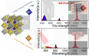 Graphical abstract: Modulation of the near-infrared-I and -II luminescence of thulium-incorporated lead-free double perovskites