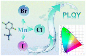 Graphical abstract: Halogen regulation of multifunctional hybrid materials with photoluminescence and dielectric response