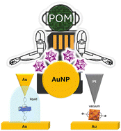 Graphical abstract: Stimuli-responsive gold–polyoxometalate multielectron transformers
