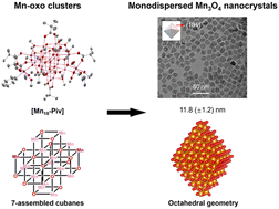 Graphical abstract: From cubane-assembled Mn-oxo clusters to monodispersed manganese oxide colloidal nanocrystals