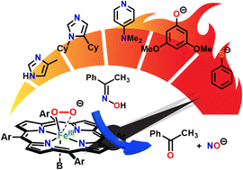 Graphical abstract: Modulation of heme peroxo nucleophilicities with axial ligands reveal key insights into the mechanistic landscape of nitric oxide synthase