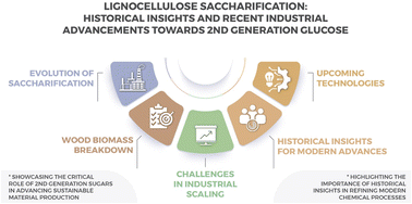 Graphical abstract: Lignocellulose saccharification: historical insights and recent industrial advancements towards 2nd generation sugars