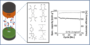 Graphical abstract: Sodium 4-styrenesulfonyl(trifluoromethanesulfonyl)imide-based single-ion conducting polymer electrolyte incorporating molecular transporters for quasi-solid-state sodium batteries