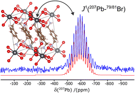 Graphical abstract: Multinuclear solid-state NMR investigation of structurally diverse low-dimensional hybrid metal halide perovskites