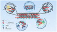 Graphical abstract: Functional carbon-based covalent bridging bonds unlocking superior sodium-ion storage