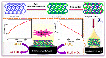 Graphical abstract: Prudently designed Se@fMWCNT as a peroxidase mimicking nanozyme for distinctive electrochemical detection of H2O2 and glutathione