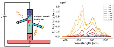 Graphical abstract: Characterization of n-doped branches in nanotree LEDs