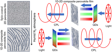 Graphical abstract: 1D–2D composite perovskite films with self-assembled chiral structure for non-reciprocal circularly polarized emission modulation