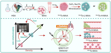 Graphical abstract: Mineralization of macroaggregated albumin for accurate biodistribution evaluation of pre-radiotherapy