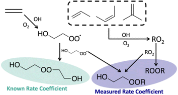 Graphical abstract: Accretion product formation in the self- and cross-reactions of small β-hydroxy peroxy radicals