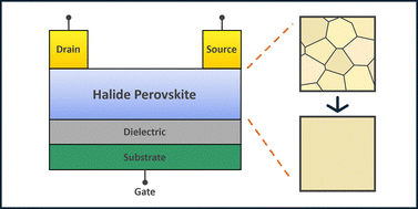 Graphical abstract: Toward AI-ready hardware: review of single-crystal halide perovskite FET fabrication and performance