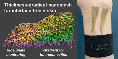 Graphical abstract: A novel thickness-gradient electrospun nanomesh for interface-free e-skin applications