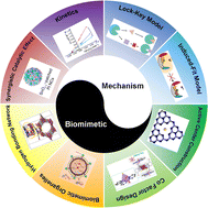 Graphical abstract: Bioinspired rational design of nanozymes