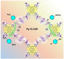 Graphical abstract: Dual-functional photoredox catalytic thiocyanation and hydroxylation using a donor–acceptor COF