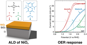 Graphical abstract: Atomic layer deposition of NiOx: harnessing the potential of new precursor combinations for photoelectrochemical water oxidation