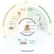 Graphical abstract: Design and validation of a bioactive and antimicrobial coating through advanced deposition strategies for biomedical applications