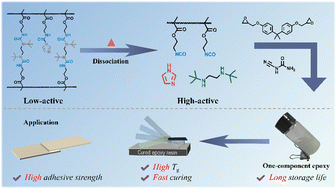 Graphical abstract: Dynamic cross-linked latent accelerators featuring dual-dynamic urea bonds for one-component epoxy systems