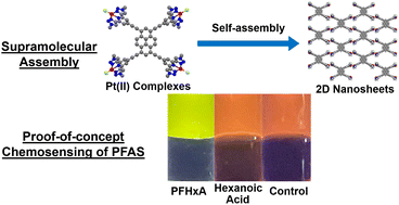 Graphical abstract: Supramolecular assembly strategy of multinuclear platinum(ii) complexes for proof-of-concept detection and extraction of perfluorohexanoic acid