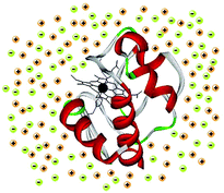 Graphical abstract: Protein solubilising and stabilising ionic liquids