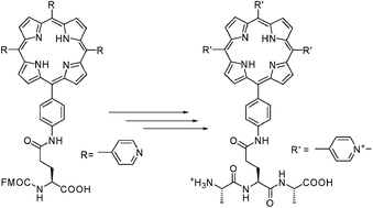 Graphical abstract: Synthesis of cationic porphyrin modified amino acids