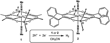 Graphical abstract: Electrocatalytic hydrogen evolution by cobalt difluoroboryl-diglyoximate complexes