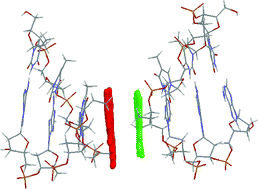 Graphical abstract: Duplex and hairpin dimer structures for perylene diimide–oligonucleotide conjugates