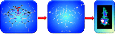 Graphical abstract: Tris(pyrazolyl)methane 99mTc tricarbonyl complexes for myocardial imaging