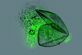 Graphical abstract: Self-exploding capsules